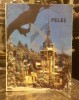 MUZEUL PELES
