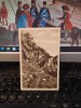 Bușteni, Bucegii, Valea Mălăiești, circa 1925, 205, Necirculata, Printata