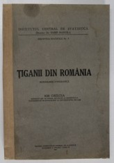 TIGANII DIN ROMANIA . MONOGRAFIE ETNOGRAFICA de ION CHELCEA (1944) , COTOR RESTAURAT foto