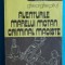 Gheorghe Pitut &ndash; Aventurile marelui motan criminal Maciste ( Florin Puca )