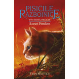 Pisicile Razboinice - Vol 20 - Ecouri Pierdute