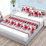 Cearsaf de pat cu elastic si 2 fete de perna Etno V3 180x200 cm (Finet)