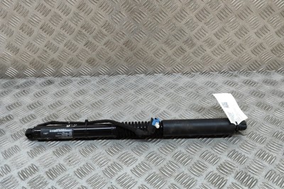 Amortizor haion dreapta BMW X3 G01, F97 2018 OEM: 7397322 24820940 foto