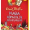Copacul Departarilor 2. Magia Copacului Departarilor, Enid Blyton - Editura Art