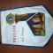 FANION SUPER, CLUB LIONS