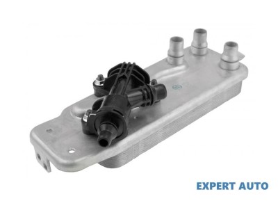 Termoflot BMW X6 (2008-&amp;gt;) [E71, E72] #1 foto