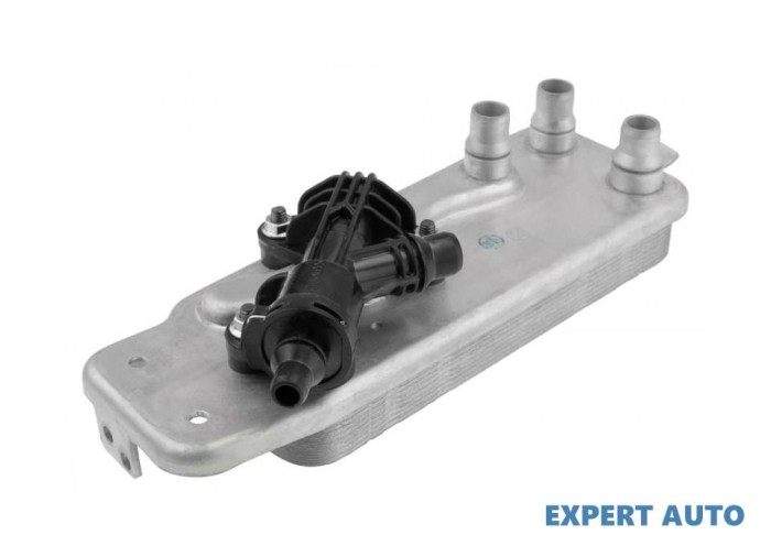 Termoflot BMW X6 (2008->) [E71, E72] #1