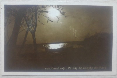 Constanta, peisaj de noapte din parc// CP foto