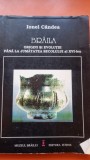 Braila. Origini si evolutie pana la jumatatea secolului al XVI-lea - Ionel Candea