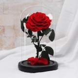 Cumpara ieftin Trandafir Criogenat rosu Bonita &Oslash;9,5cm in cupola 17x28cm