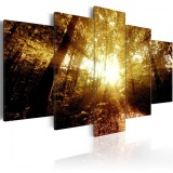 Cumpara ieftin Tablou - Autumn Forest 200x100 cm