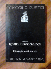 SF. IGNATIE BRIACeANINOV - PLANGERILE UNUI MONAH. COLECTIA COMORILE PUSTIEI foto