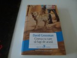 Cineva cu care sa fugi de acasa - David Grossman