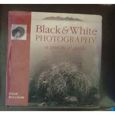 Steve Mulligan - Black&amp;White photography. A practical guide