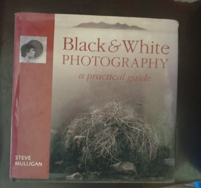 Steve Mulligan - Black&amp;amp;White photography. A practical guide foto