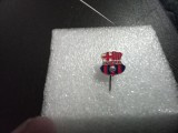 Insigna FC Barcelona