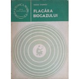 FLACARA BIOGAZULUI. ENERGIE PRIN CONVERSIE METANOGENA-VASILE STANCU-236092