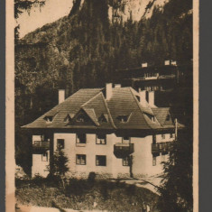 CPI B14230 CARTE POSTALA - LACUL ROSU, GHILCOS, CAMINUL CCS, LIBRARIA NOASTRA