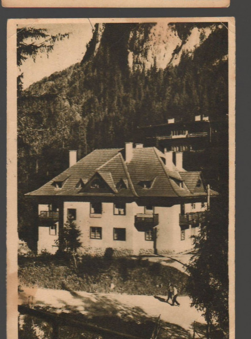 CPI B14230 CARTE POSTALA - LACUL ROSU, GHILCOS, CAMINUL CCS, LIBRARIA NOASTRA