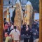 pillars,seeds - Liviu Mocan NOU HARDCOVER