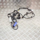 Cablaj ușă st&acirc;nga față MASERATI QUATTROPORTE VI 2014 OEM: 06700093520 12215592