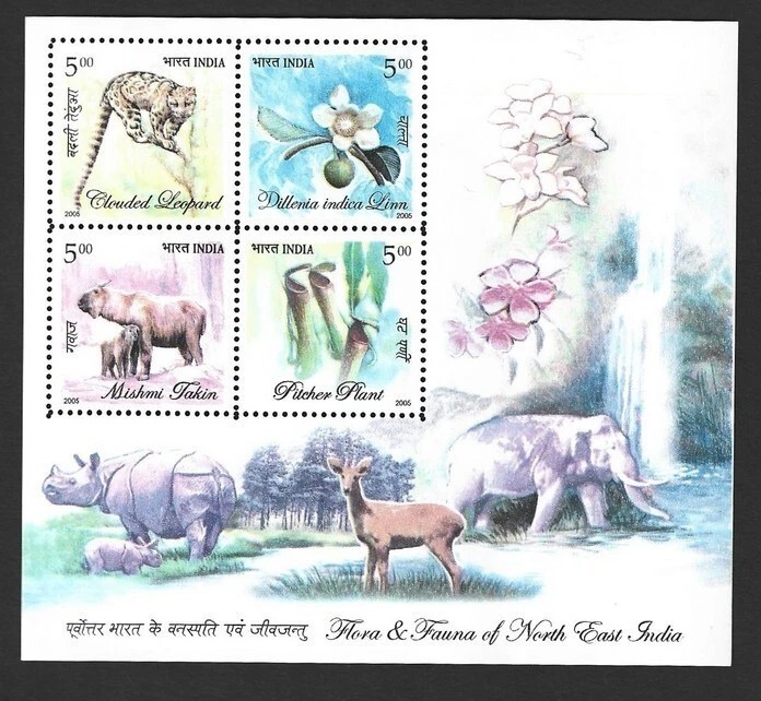 India 2005 - Fauna, flora, colita neuzata