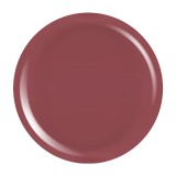 Cumpara ieftin Gel Colorat UV PigmentPro LUXORISE - Russet Tint, 5ml