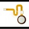 Buton + Senzor Amprenta HTC Desire 10 Pro Argintiu