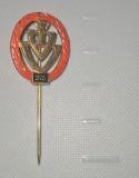 INSIGNA IVV 375