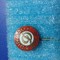 Insigna Dinamo Bacau