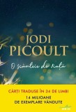 O scanteie de viata | Jodi Picoult, 2019, Litera