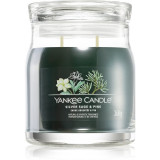 Yankee Candle Silver Sage &amp; Pine lum&acirc;nare parfumată Signature 368 g