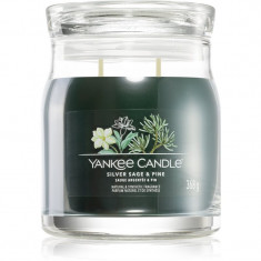Yankee Candle Silver Sage & Pine lumânare parfumată Signature 368 g