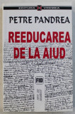 Reeducarea de la Aiud / Petre Pandrea