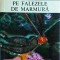 Ernst Junger - Pe falezele de marmura