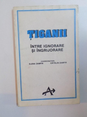 TIGANII , INTRE IGNORARE SI INGRIJORARE de ELENA ZAMFIR SI CATALIN ZAMFIR , 1933 foto