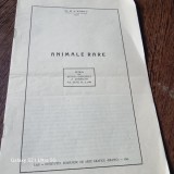 M. A. Ionescu - Animale Rare