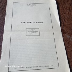 M. A. Ionescu - Animale Rare