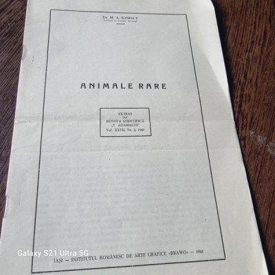M. A. Ionescu - Animale Rare foto