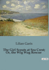 The Girl Scouts at Sea Crest; Or, the Wig Wag Rescue foto