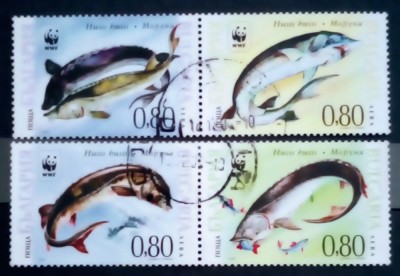 Bulgaria 2002 fauna WWF pești surioni serie ștampilata foto