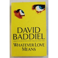 WHATEVER LOVE MEANSE by DAVID BADDIEL , 2000