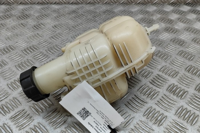 Vas de expansiune BMW X1 F48 2021 OEM: 7617362,8687503 23874632