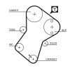 Curea Distributie Gates PowerGrip 5049XS Citroen Fiat Peugeot Rover Suzuki Talbot Tata