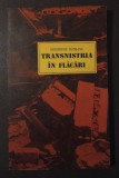 Gheorghe Budeanu - Transnistria &icirc;n flăcări: reportajele unui corespondent de răz