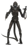 Aliens Ultimate Action Figure Warrior (1986) Brown 23 cm