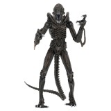 Aliens Ultimate Action Figure Warrior (1986) Brown 23 cm