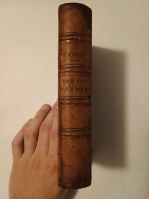 Gabriele D&amp;#039;Annunzio - Forse che si, forse che no (lb. fr; 1910) foto