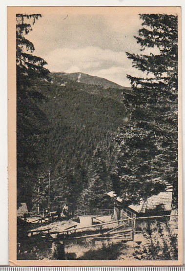 bnk cp Paltinis - Vedere - circulata