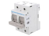 Separator cu Fuzibil 63A 400V pentru Șină DIN Poli 2